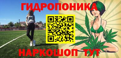 твердый Лесосибирск