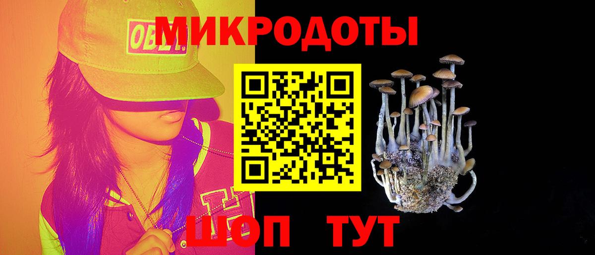 Псилоцибиновые грибы Magic Shrooms Камышин