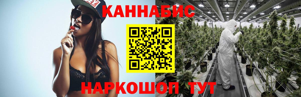 Бошки Шишки ГИДРОПОН  Шишки марихуана планчик  Камышин  Бошки Шишки план  Шишки марихуана Ganja  Вход с VPN 
